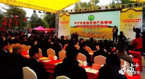 興寧首屆農特產品展銷暨農電商交流貿易會隆重開幕，文化藝術交流活動同步啟動